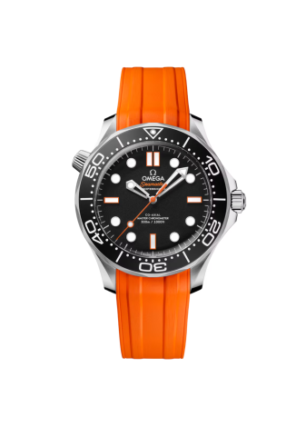 Omega Seamaster Diver 300M 42 210.32.42.20.01.006
