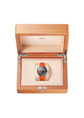 Omega Seamaster Diver 300M 42 210.32.42.20.01.006