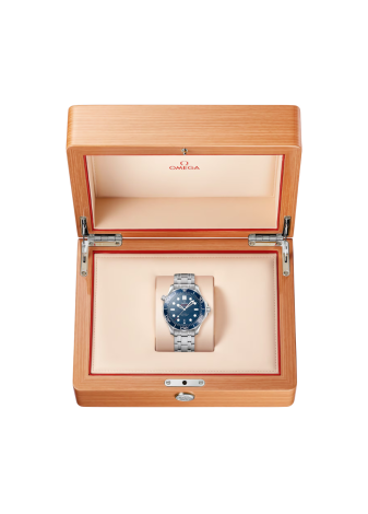 Omega Seamaster Diver 300M 42 210.30.42.20.03.001