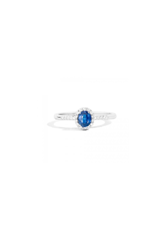 Recarlo Anello Iris Zaffiro mis 12 R33CG251/ZB
