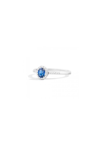 Anello Recarlo Iris | Oro Bianco, Diamanti e Zaffiro – Ferrara